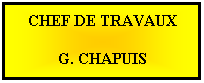 Zone de Texte: CHEF DE TRAVAUX
 
G. CHAPUIS
